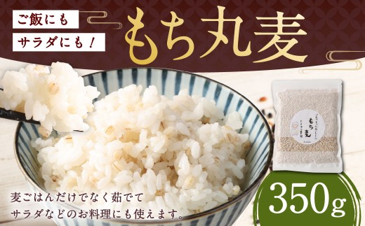 ご飯にもサラダにも!もち丸麦 350g 雑穀米 雑穀 麦 もち麦 麦ごはん 麦ご飯 サラダ 食物繊維 常温 お取り寄せ 国産 九州産 熊本県 湯前町熊本県湯前町2500米・パン玄米・雑穀米・もち米・餅