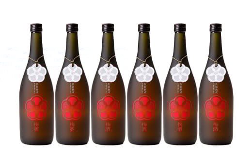 蔵八梅酒 720ml 6本 蔵八 梅酒 うめ酒 焼酎 本格焼酎 お酒 酒 地酒 九州 熊本熊本県湯前町36000酒・アルコール焼酎