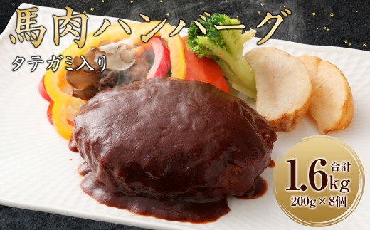 FNタテガミ入り 馬肉ハンバーグ (デミソース) 8個 セット 馬肉 お肉 惣菜 ハンバーグ タテガミ コウネ ソース付熊本県湯前町15000肉ジビエ