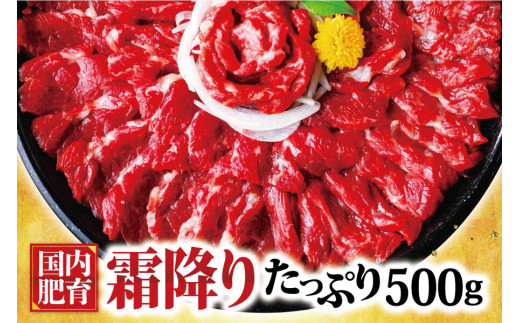 熊本馬刺し 霜降り たっぷり 約500g(約50g×10パック) 専用醤油付き熊本県湯前町38000肉ジビエ