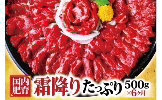 【6ヶ月定期便】熊本馬刺し 霜降り たっぷり約500g(約50g×10パック)専用醤油付き熊本県湯前町228000肉ジビエ