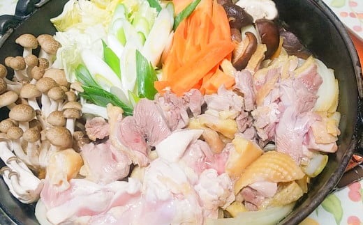 くまもと直送 天草大王 地鶏鍋セット(3〜4人前)鶏 鶏肉 地鶏 つみれ団子 つみれ だご麺 鍋熊本県湯前町23000鍋セット・総菜・加工食品カレー・シチュー