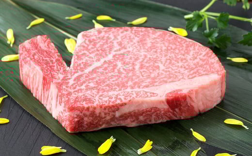 くまもと黒毛和牛 ヒレステーキ 200g 国産 熊本 和牛 牛肉 牛 ヒレ ステーキ 肉 お肉 冷凍熊本県湯前町27000肉牛肉
