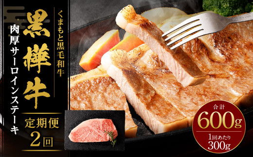 【2回定期便】黒樺牛 肉厚サーロインステーキ 300g 計600g 牛肉 和牛 お肉 ステーキ 黒毛和牛 国産 九州産 熊本県 湯前町熊本県湯前町40000肉牛肉
