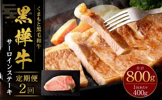 【2回定期便】 黒樺牛 サーロインステーキ 400g (200g×2) 計800g 黒毛和牛 霜降り肉 ステーキ肉 冷凍熊本県湯前町52000肉牛肉