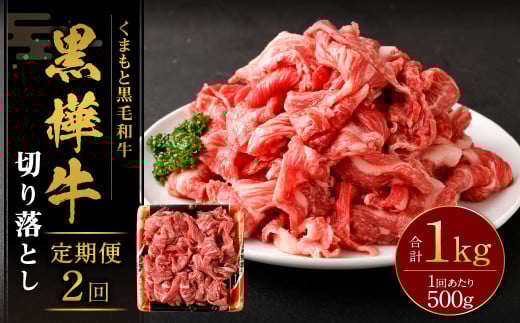【2回定期便】 黒樺牛 切り落とし500g (500g×1パック) 計1000g 黒毛和牛 牛肉 切り落とし肉 冷凍熊本県湯前町24000肉牛肉