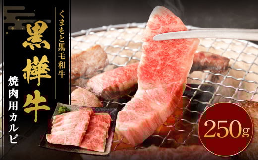 黒樺牛 焼肉用カルビ 250g×1パック 黒毛和牛 焼き肉 牛肉 冷凍熊本県湯前町12000肉牛肉