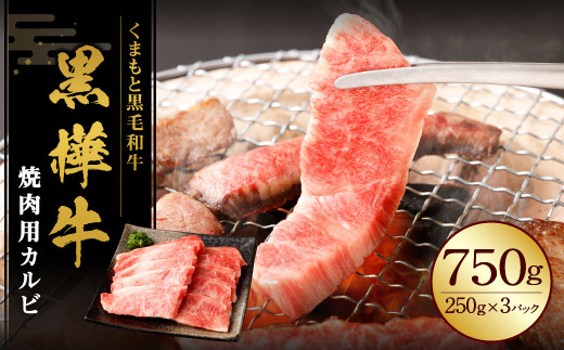 黒樺牛 焼肉用カルビ 750g (250g×3パック) 黒毛和牛 焼き肉 牛肉 冷凍熊本県湯前町36000肉牛肉