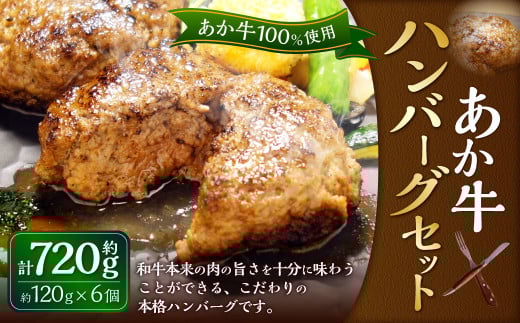 あか牛100% ハンバーグセット(あか牛ハンバーグ 120g×6個)合計720g 和牛 国産 九州産 惣菜 冷凍 熊本県 湯前町熊本県湯前町12000肉牛肉
