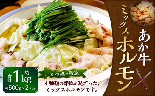 熊本和牛 あか牛ホルモン 1kg(500g×2パック)和牛 ホルモン ミックス ミックスホルモン モツ 国産 九州産 惣菜 冷凍 熊本県 湯前町熊本県湯前町12000肉牛肉
