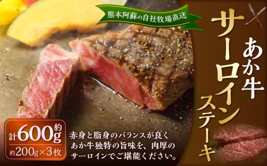 あか牛 サーロインステーキ 約600g(あか牛サーロインステーキ 約200g×3枚) 肉 お肉 牛肉 和牛 褐毛和種 国産 九州産 冷凍 熊本県 湯前町熊本県湯前町43000肉牛肉
