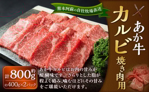 あか牛 カルビ 焼き肉用 約800g(あか牛バラカルビ 約400g×2パック) 肉 お肉 牛肉 和牛 褐毛和種 国産 九州産 冷凍 熊本県 湯前町熊本県湯前町36000肉牛肉