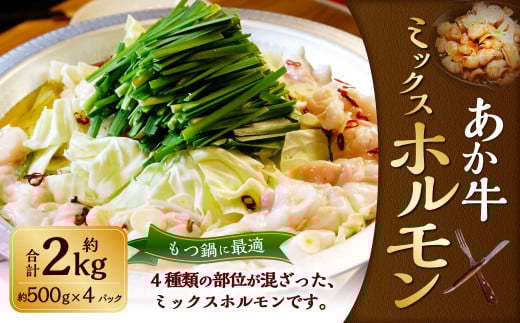 熊本和牛 あか牛 ホルモン 約2kg(約500g×4パック) 肉 お肉 牛肉 和牛 褐毛和種 国産 九州産 冷凍 熊本県 湯前町熊本県湯前町24000肉牛肉