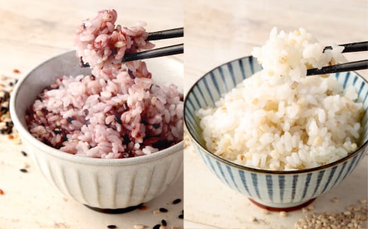 ヘルシー五穀米ともち丸麦セット 五穀米 250g×1袋 もち丸麦 320g×1袋 合計570g 雑穀米 雑穀 黒米 玄米 赤米 麦 もち麦 麦ごはん 麦ご飯 食物繊維 セット 常温 お取り寄せ 国産 九州産 熊本県 湯