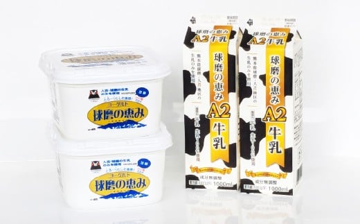 球磨の恵み「A2牛乳」と「球磨の恵みヨーグルト(加糖)」 セット 生乳 乳製品 カゼイ菌 ぎゅうにゅう ミルク熊本県湯前町9600卵・乳製品牛乳・乳飲料