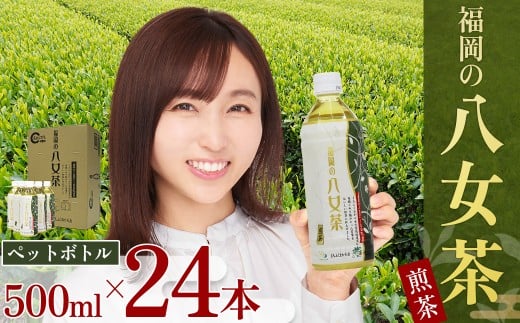 福岡の八女茶ペットボトル(500ml×24本入り) 2K1福岡県赤村9000お茶・飲料お茶