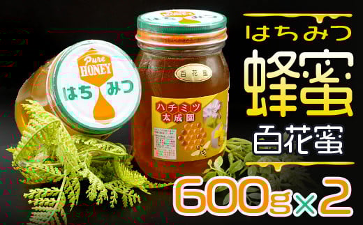 蜂蜜(百花蜜600g)2個セット K1福岡県赤村19000鍋セット・総菜・加工食品ジャム・はちみつ