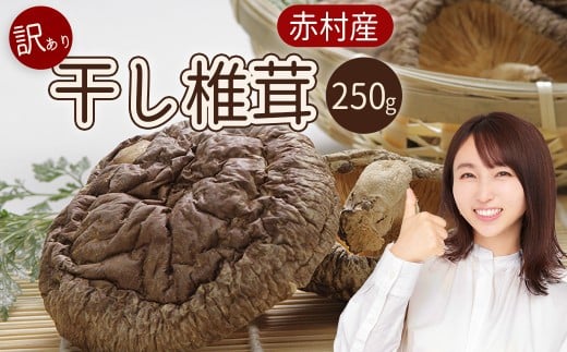 Y ԑY ő 250g ƒp 󂠂 ӂ邳Ɣ[  ő  LmR ̂  ӂ邳 LO lC  L1ԑ8000E