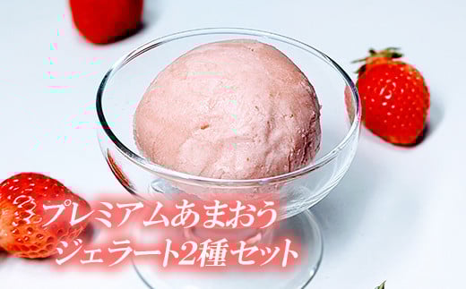 プレミアムあまおうジェラート2種セット 3SB2福岡県赤村10000菓子・スイーツアイス・ジェラート