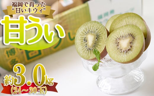 福岡限定!ブランドキウイ「甘うぃ(あまうぃ)」約3kg箱(24-30玉) 4A21福岡県赤村15000果物・フルーツその他 果物・フルーツ