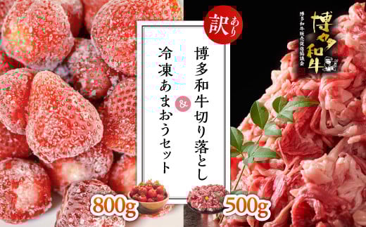 y󂠂za؂藎Ƃ500Ⓚ܂Zbg800 Y31ԑ13000