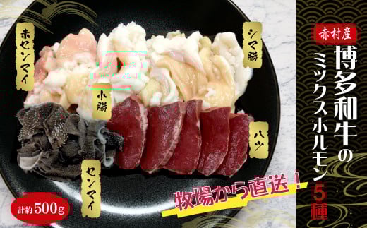 赤村産博多和牛のミックスホルモン5種500g 3H1福岡県赤村10000肉牛肉