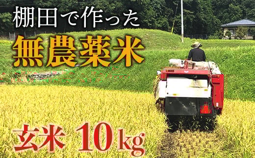 【新米】赤村産棚田米こだわりの夢つくし(玄米)10kg J2-S福岡県赤村22000米・パン玄米・雑穀米・もち米・餅