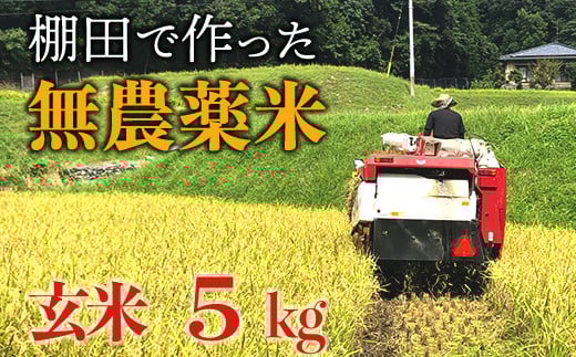 【新米】赤村産棚田米こだわりの夢つくし(玄米)5kg J1-S福岡県赤村11000米・パン玄米・雑穀米・もち米・餅