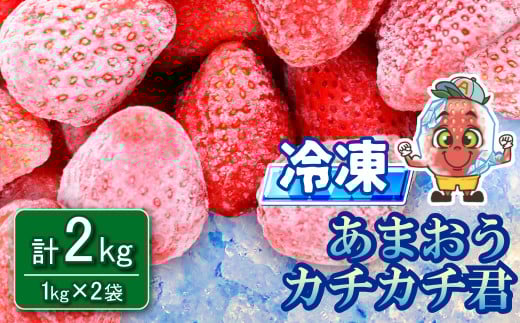冷凍 あまおう カチカチ君 (1kg×2袋)  冷凍あまおう 冷凍 苺 いちご 小分け 苺 スムージー ジャム 削り氷 デザート 果物 くだもの フルーツ フローズン フローズンいちご おやつ  3W14福岡県赤