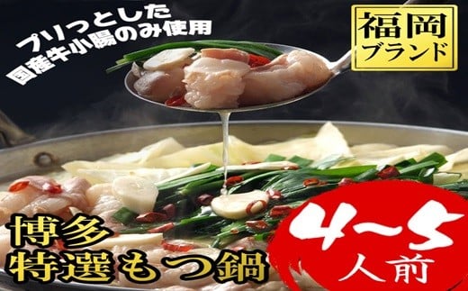 博多もつ鍋 4〜5人前 4R15福岡県赤村11000鍋セット・総菜・加工食品カレー・シチュー