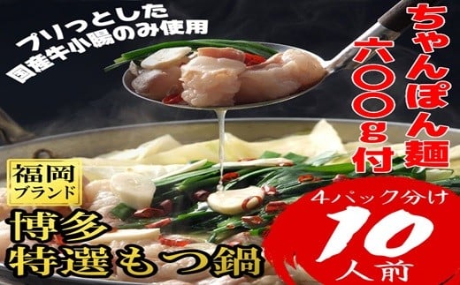 博多特選もつ鍋 10人前 4R17福岡県赤村16000鍋セット・総菜・加工食品カレー・シチュー