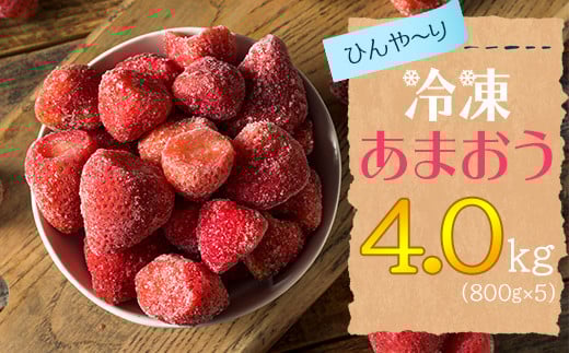 【冷凍】博多 あまおう 4.0kg(800g×5袋) 2L4-S1福岡県赤村23000果物・フルーツいちご