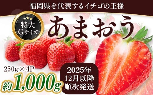 Y ܂ 1000gOi250g×4j12ȍ~ 3KC5ԑ17000ʕEt[c