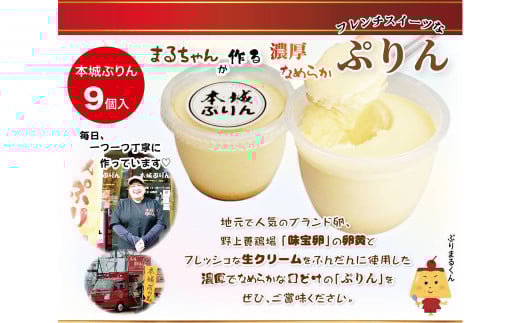 【配達指定日必須】本城 ぷりん 9個入り 濃厚 なめらか福岡県北九州市17000菓子・スイーツプリン・ゼリー