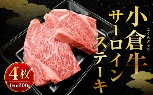 ʊiIqT[CXe[L 800gkBs41000