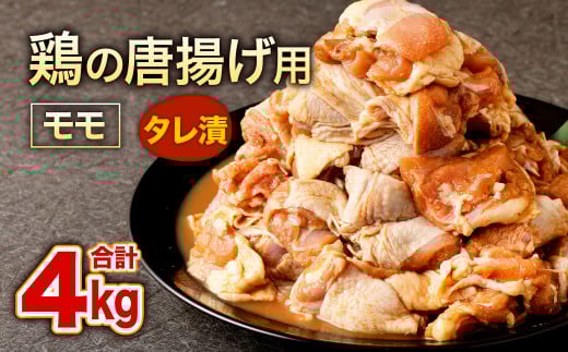 {̓gp  v4kg 500g×8pbNkBs13000{