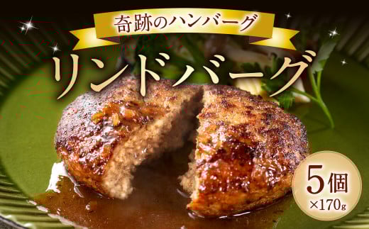 奇跡のハンバーグ リンドバーグ  170g×5個 計850g福岡県北九州市13000肉加工肉(ハム・ソーセージ等)