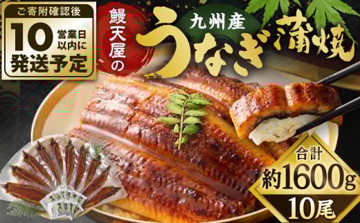 鰻天屋の九州産うなぎ 蒲焼 10尾 セット (1尾あたり160〜189g)福岡県北九州市54000魚介・海産物うなぎ