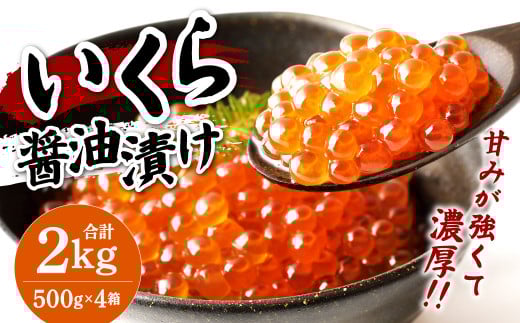イクラ 醤油漬け 500g×4箱 鱒いくら 計2000g いくら福岡県北九州市49000魚介・海産物いくら