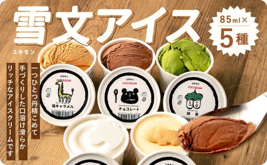 雪文アイス 5個 セット アイス 5種類 (コクミルク/チョコレート/抹茶/NYチーズケーキ/塩キャラメル) アイスクリーム 食べ比べ 詰合せ カップアイス福岡県北九州市13000菓子・スイーツアイス・