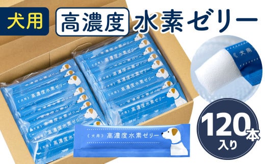 Zx f [[ p 120{   ͂  gbsO ^ ybg NHi Tv  [Og f⋋   YkBs22000َqEXC[cv