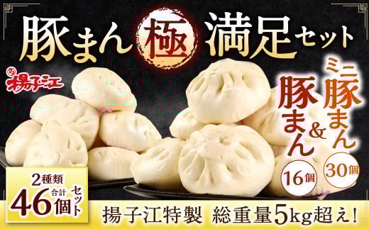 揚子江 特製 総重量5kg超え! 極満足 セット (豚まん×16個、ミニ豚まん×30個) 人気 の 豚まん 驚愕の計46個!! 2種類 食べくらべ 中華 点心 【配達日指定可能】福岡県北九州市26000鍋セット