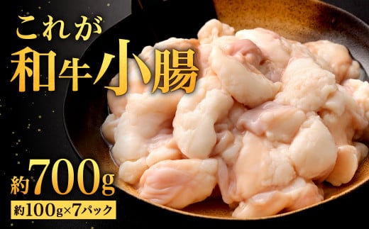 これが和牛小腸 約700g (約100g×7パック)福岡県北九州市13000肉牛肉