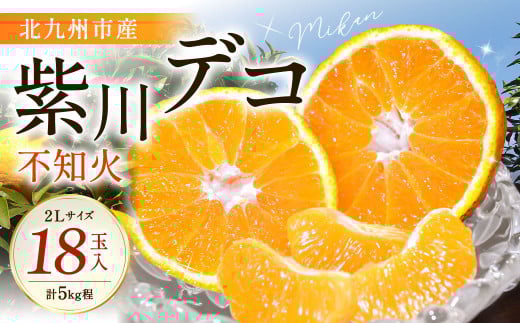 紫川デコ(不知火) 2Lサイズ 18玉入 計5kg程 フルーツキャップ付き【2026年3月上旬〜2026年3月下旬発送予定】福岡県北九州市17000果物・フルーツみかん・柑橘類