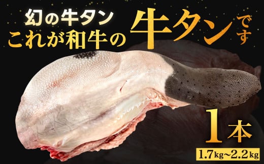 幻の牛タン これが和牛の牛タンです 【2026年6月上旬-下旬発送予定】 黒毛和牛 和牛 牛タン 肉 お肉 高級 サシ 焼肉 BBQ 希少 新鮮 国産 九州産 冷蔵福岡県北九州市84000肉牛肉