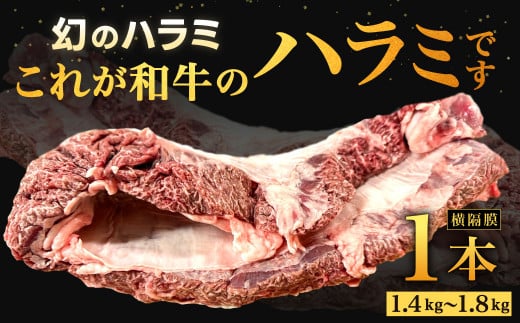 幻のハラミ これが和牛のハラミ(横隔膜)です 【2026年6月上旬-下旬発送予定】 黒毛和牛 和牛 ハラミ 上ハラミ 肉 お肉 高級 サシ 焼肉 BBQ 希少 新鮮 国産 九州産 冷蔵福岡県北九州市84000肉