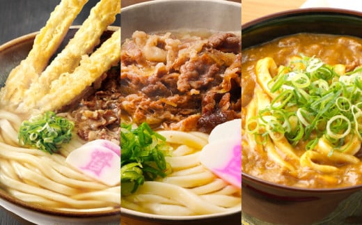【定期便4カ月】 資さん 食べ比べセット(肉ごぼ天うどん・肉うどん・カレーうどん)各5人前×4回 3種 合計60人前 黄金のつゆ かまぼこ 牛肉 昆布 かつお福岡県北九州市187000麺うどん