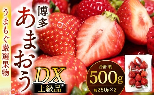福岡県産特産品 うまもぐ厳選果物 福岡県産 博多あまおう DX上級品 約500g(約250g×2パック入り)【2025年12月発送】あまおう いちご 苺 イチゴ 果物 フルーツ福岡県北九州市12000果物・フルー