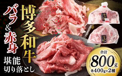 a̐Hה \ ؂藎Ƃ o  Ԑg v800g a     o Ԑg Y akBs15000