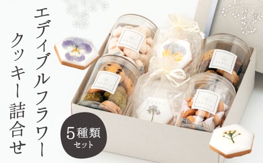 GfBut[NbL[l NbL[ GfBut[ Hp Ăَq َq  l Mtg  kBskBs15000َqEXC[cĂَq